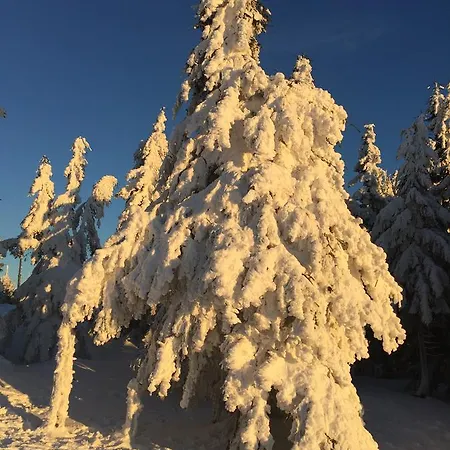 Ski Apartment *