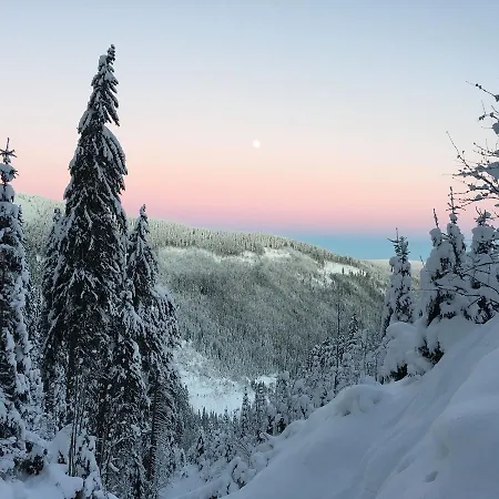 Lejlighed Ski