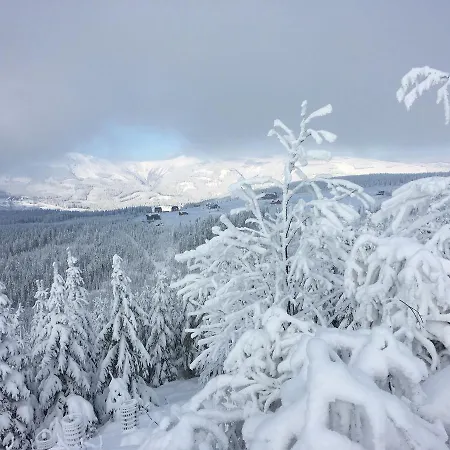 Lejlighed Ski
