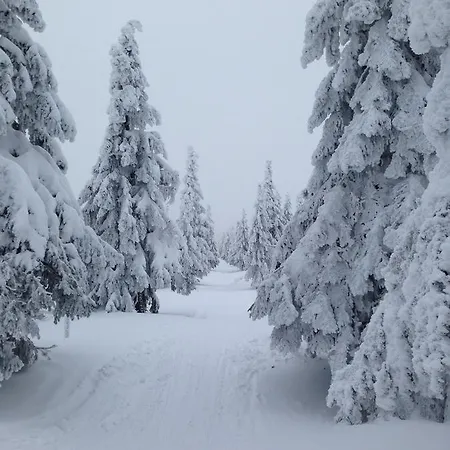Lejlighed Ski *