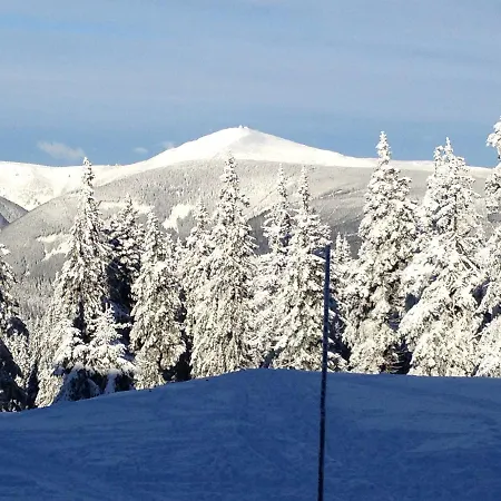Ski *