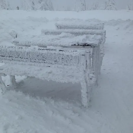 Ski Lejlighed Janské Lázně