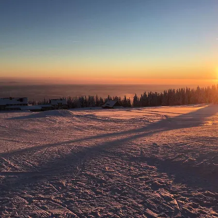 Ski *